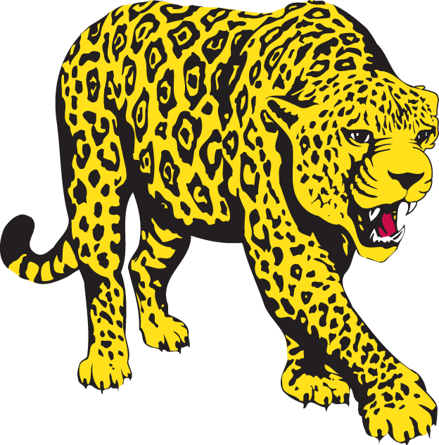South Alabama Jaguars 1993-2007 Partial Logo v3 iron on transfers for clothing